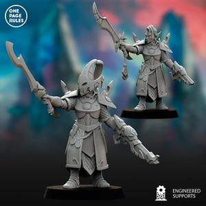 Elite Protector - High Elf Fleets