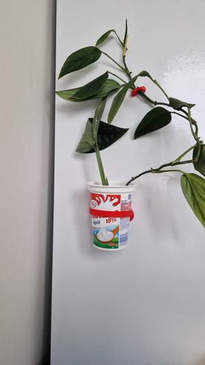 Magnetic flowerpot holder