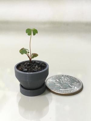 Nano Pot with drainage hole and a saucer