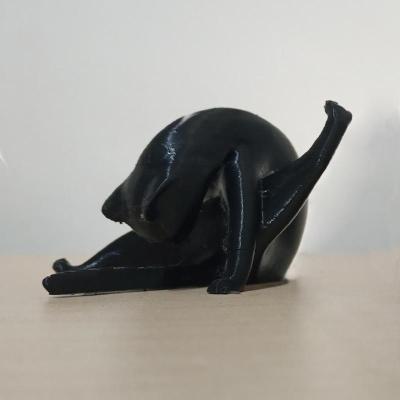 licking Cat