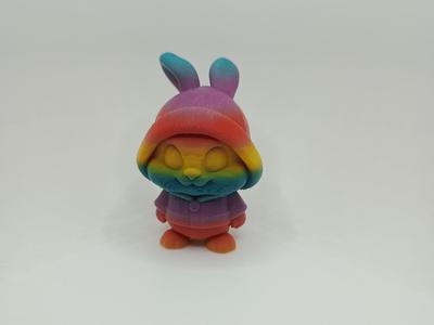 Rainbow Bunny with Hoodie – Hare