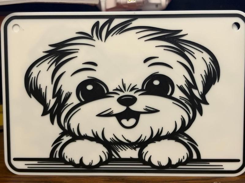 morkie