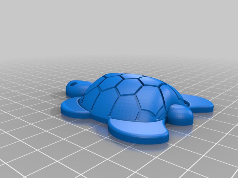 Turtle Model