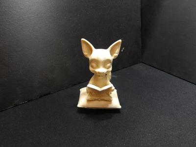 Chihuahua reading a book.