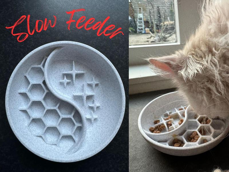 Slow Feeder Bowl Cat/Dog 