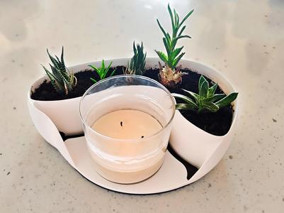 Succulent Planter & Candle Holder