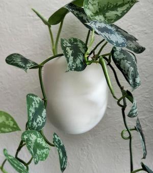 Wall Flower Pot / Planter / Wand Blumentopf