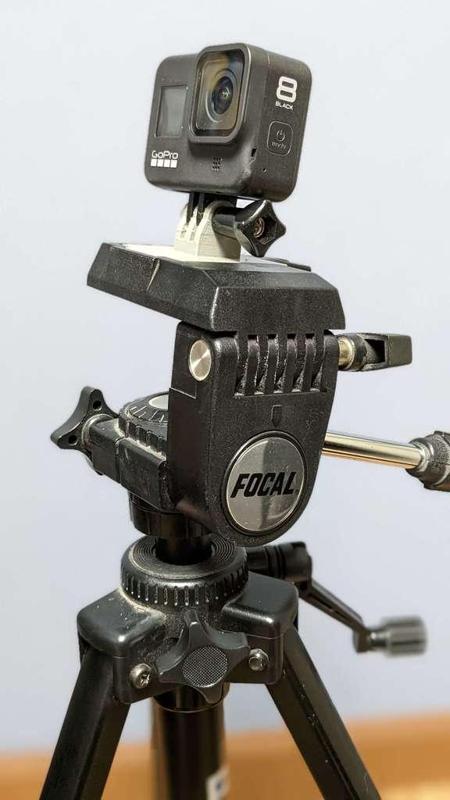 Focal Tripod - GoPro Mount