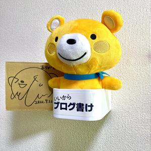 Cute stuffed bear's wall box