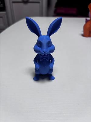 Cute bunny   