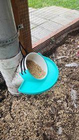 poultry feeder less waste