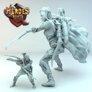 Female wood Elf ( with daggers)