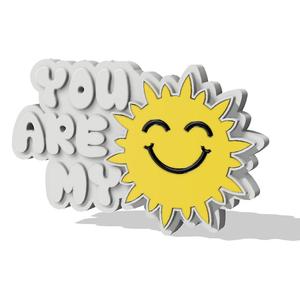 You Are My Sunshine Magnet Mother's Day Gift