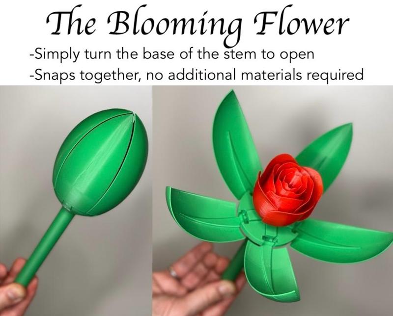 The Blooming Flower - Snaps together!