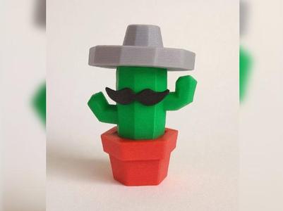 Mexican cactus