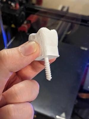 Pumpkin Teeth Screw