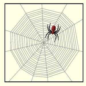 parametric cobweb and spider