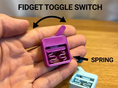 Fidget Toggle Switch