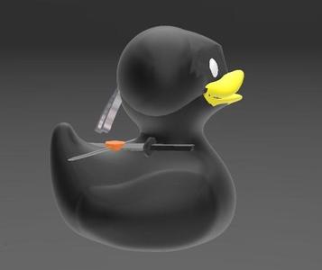 Ninja Duck