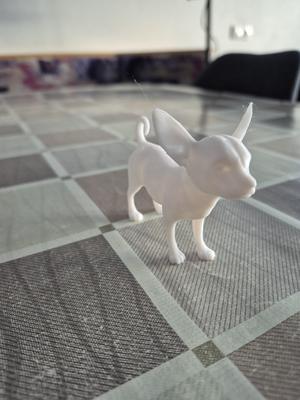 Dog Miniature