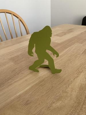 Bigfoot/Sasquatch