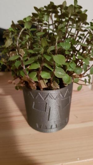 Planter with a Face 