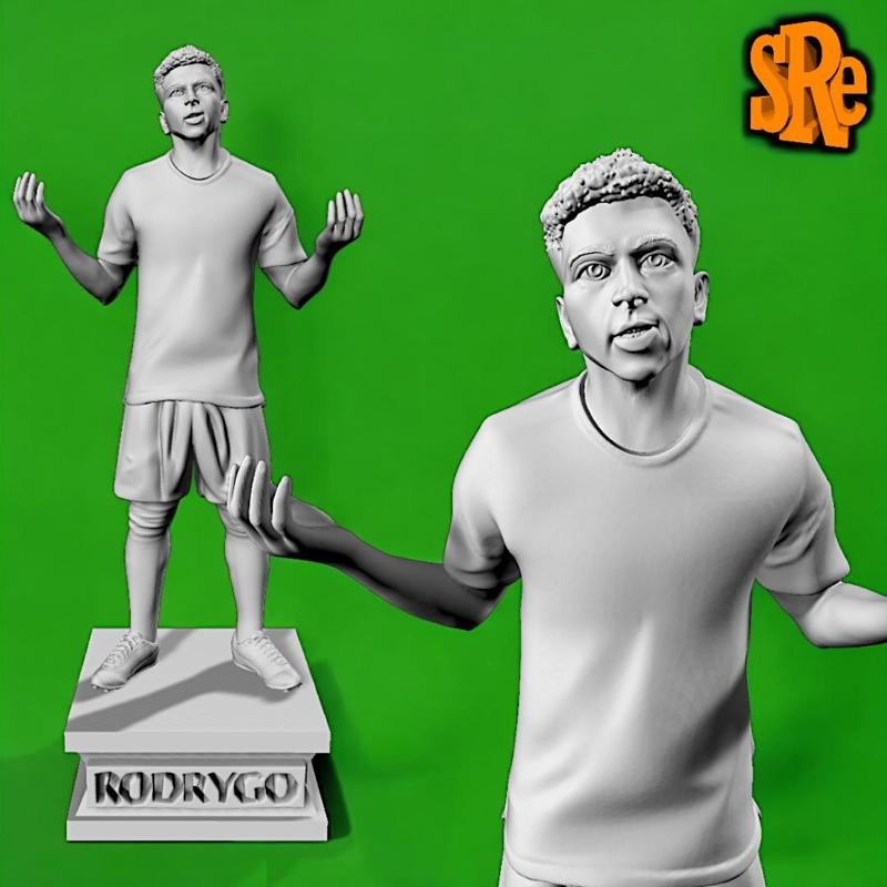 Rodrygo Goes Real Madrid and Brazil national team player