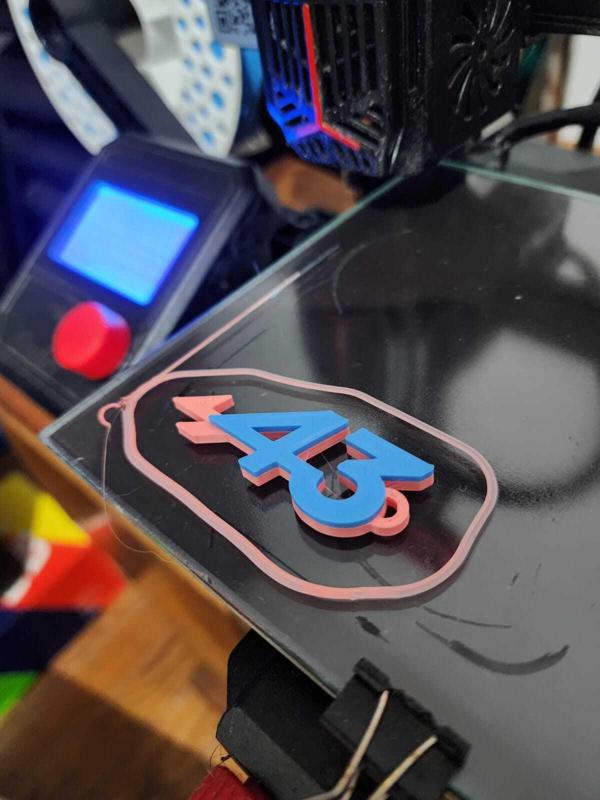 Key ring Colapinto 43 Alpine