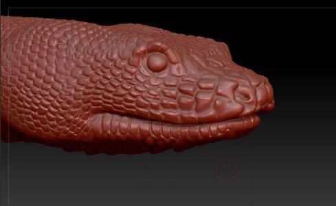 Snake head Anaconda Python