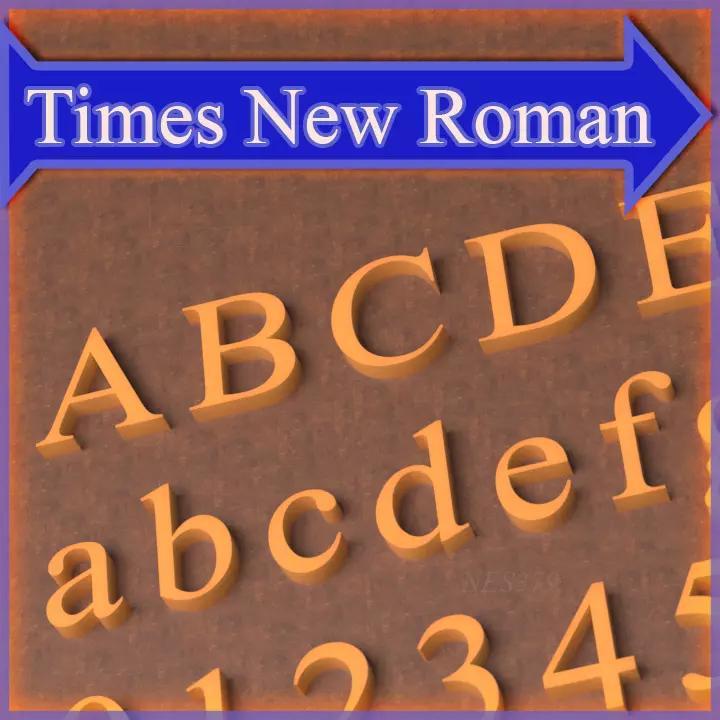 Times New Roman