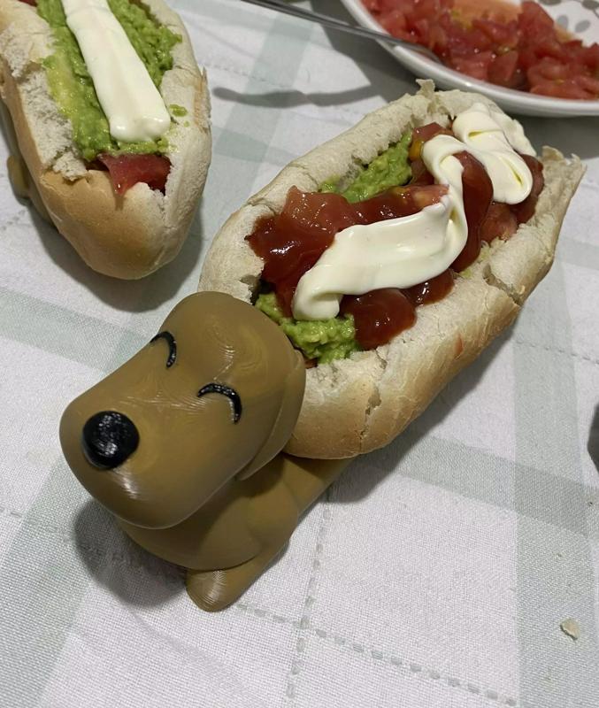 PERRO SALCHICHA PORTA COMPLETO DACHSHUND HOT DOG