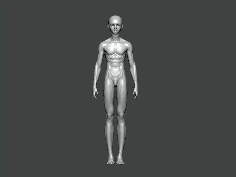 3D Model-ANATOMY0017 mannequin