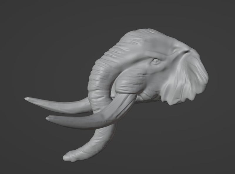 Savanna elephant, Savanna elephant, Elephant of the savanna