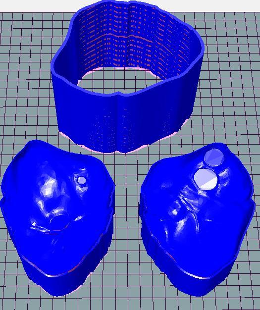 Mold Anatomic Heart 10sm