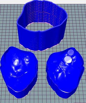 Mold Anatomic Heart 10sm