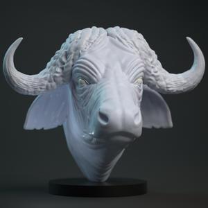 Cape Buffalo Head 3D Model