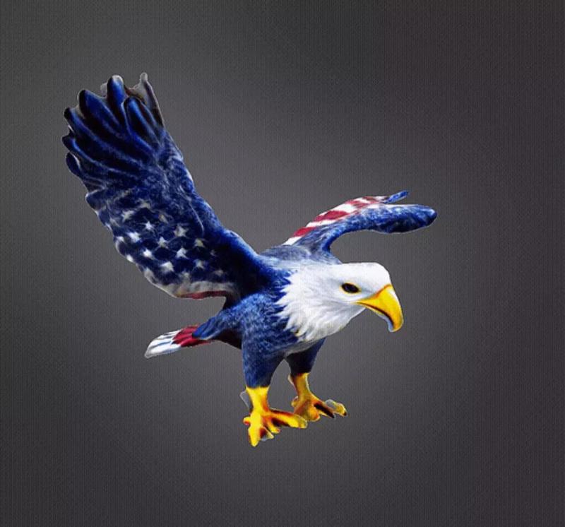 American eagle