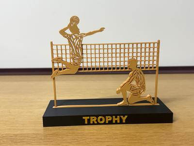 Volleyball Trophy