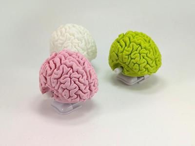 Walking Brain