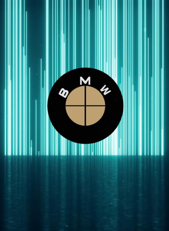 BMW EMBLEM NEW (BROWN WHITE)