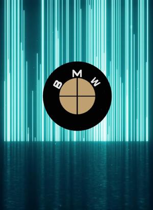 BMW EMBLEM NEW (BROWN WHITE)