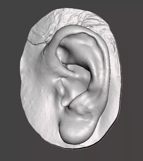 Natural human ear anatomy left side