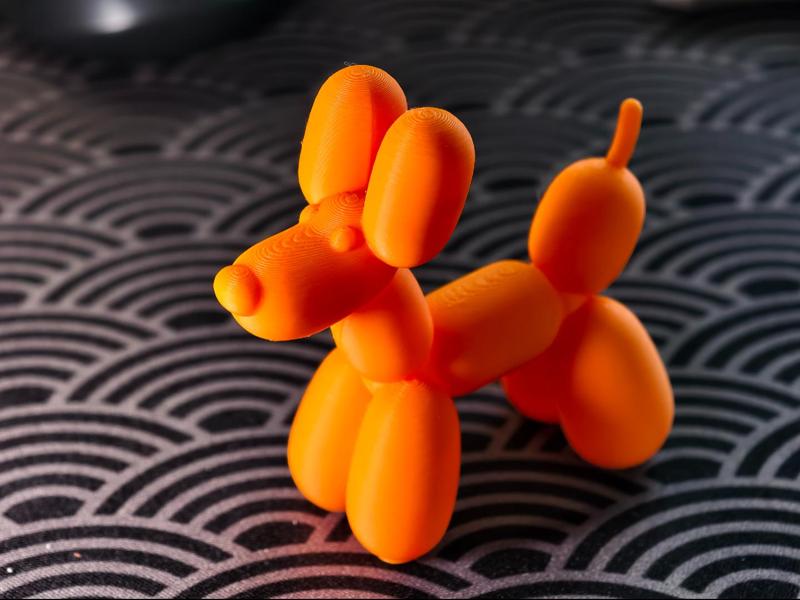 Cute balloon dog