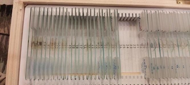 100 microscope slides box incert
