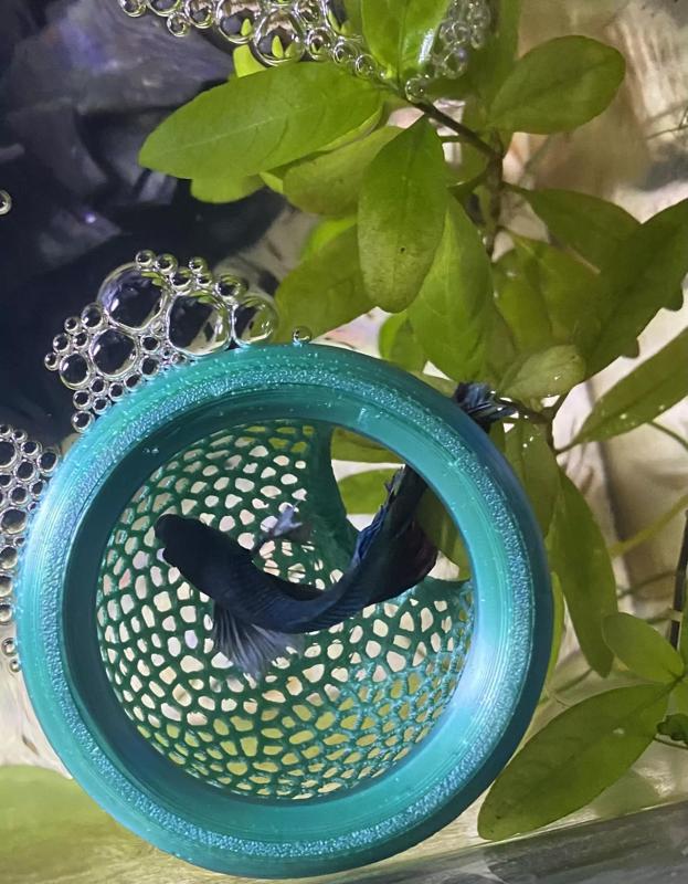 Floating Aquarium Hide 3D Printable Model