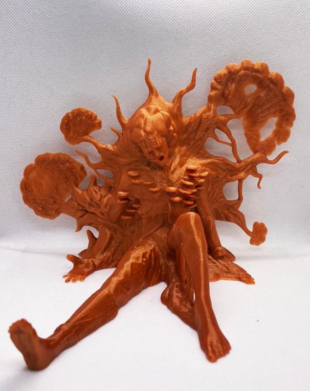 Calcified Cordyceps Victim