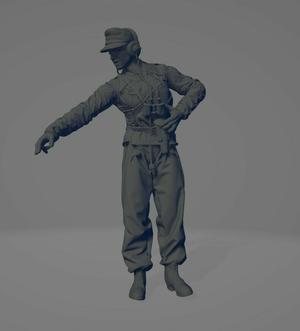 ww2 german Tank destroyer officer. Briefing