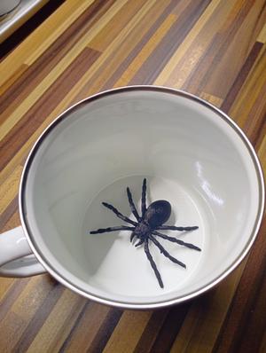 fake spider