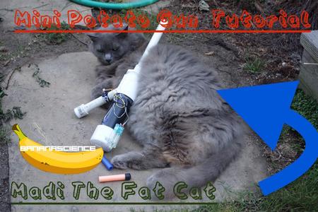 Mini Potato Gun Mount