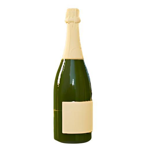 Classic Champagne Bottle